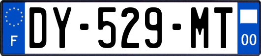 DY-529-MT