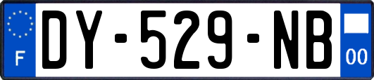 DY-529-NB