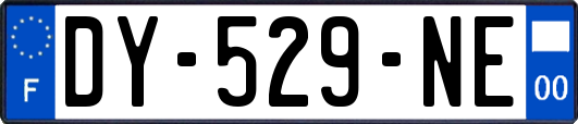 DY-529-NE