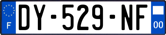 DY-529-NF