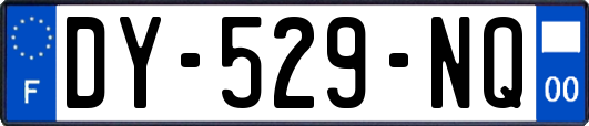 DY-529-NQ