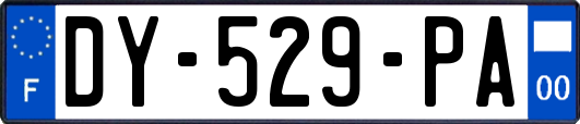 DY-529-PA
