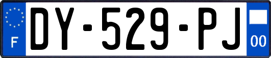 DY-529-PJ