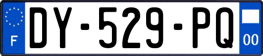 DY-529-PQ