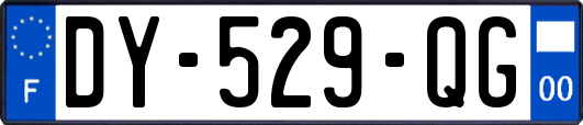 DY-529-QG