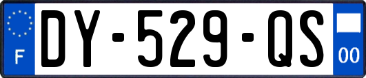 DY-529-QS