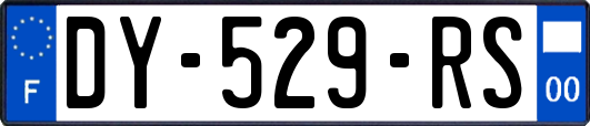 DY-529-RS