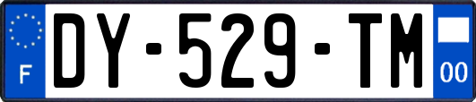 DY-529-TM