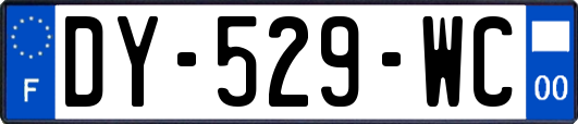 DY-529-WC