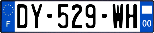 DY-529-WH