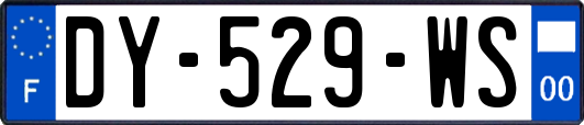 DY-529-WS