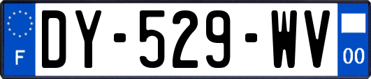 DY-529-WV