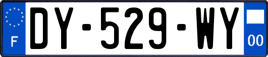 DY-529-WY