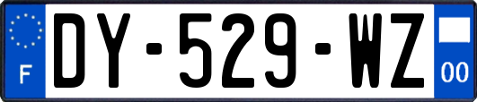 DY-529-WZ