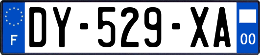 DY-529-XA