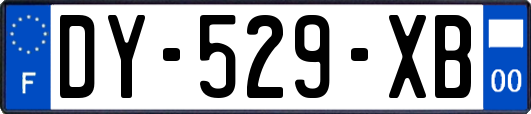 DY-529-XB