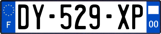 DY-529-XP