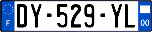 DY-529-YL
