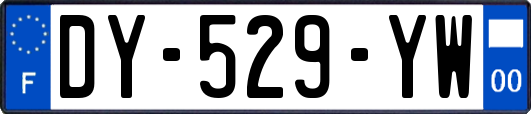 DY-529-YW