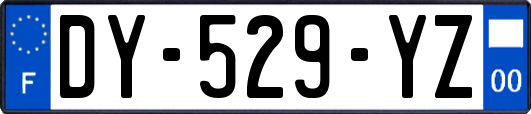 DY-529-YZ