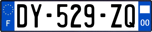 DY-529-ZQ