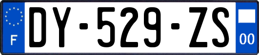 DY-529-ZS