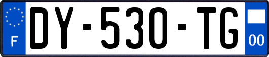 DY-530-TG