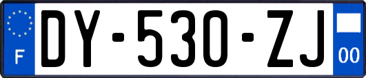 DY-530-ZJ