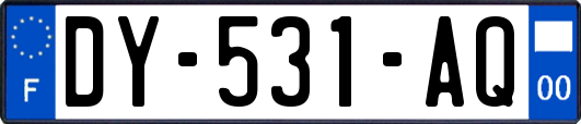 DY-531-AQ