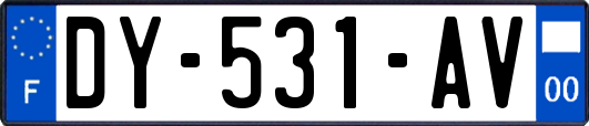 DY-531-AV