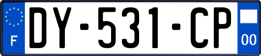 DY-531-CP