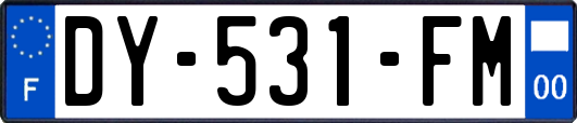 DY-531-FM