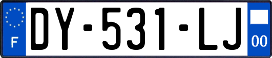 DY-531-LJ