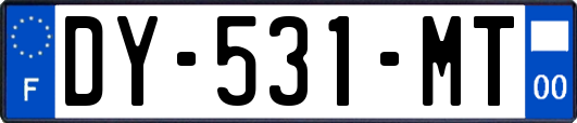 DY-531-MT