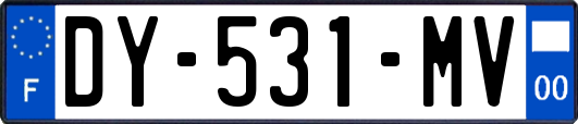 DY-531-MV