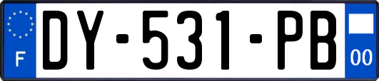 DY-531-PB