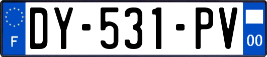 DY-531-PV