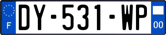 DY-531-WP