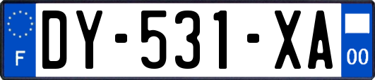 DY-531-XA