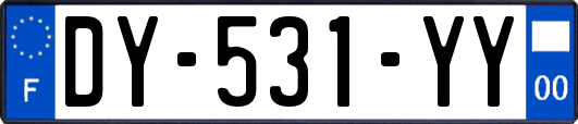 DY-531-YY