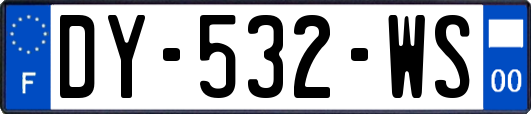 DY-532-WS