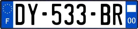 DY-533-BR