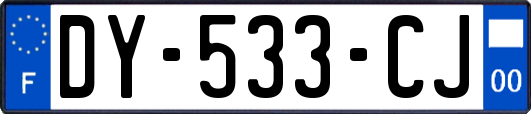 DY-533-CJ