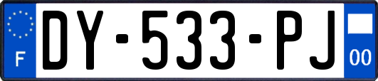 DY-533-PJ