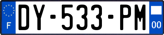 DY-533-PM
