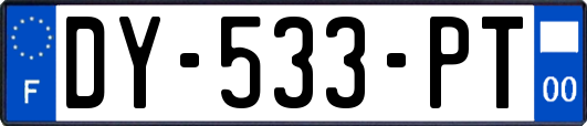 DY-533-PT