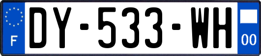 DY-533-WH