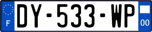 DY-533-WP