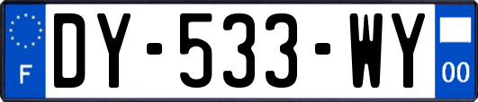 DY-533-WY