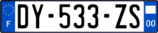 DY-533-ZS